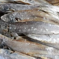 ikan asin lidah 500 gram