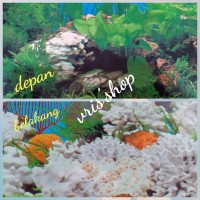 Katalog Gambar Background Cover Katalog.or.id Katalog Gambar Background Cover Katalog.or.id