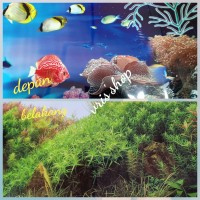 Harga Gambar Background Cover Katalog.or.id Harga Gambar Background Cover Katalog.or.id