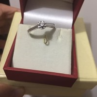 Cincin Frank and Co berlian