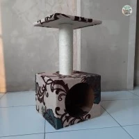 Coco Single tower cave