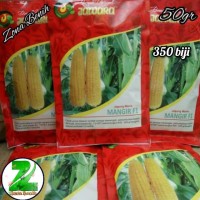 Benih Jagung manis MANGIR F1 @50gr