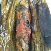 ikan layang pepes