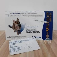 Revolution for Adult cats
