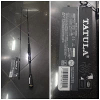 JORAN DAIWA TATULA 602 MS 2019