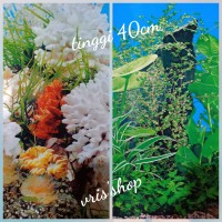 Info Gambar Background Cover Katalog.or.id Info Gambar Background Cover Katalog.or.id