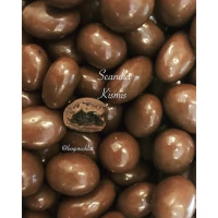 Coklat Scandia Kismis 500gr