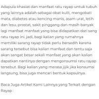 diabetes de ratu rayap untuk obat