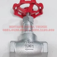 Kitz Globe Valve 1*