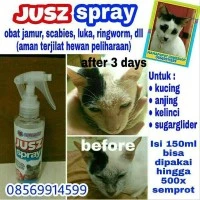 KN 5942 JUSZ SPRAY SUPER CAT 150ML