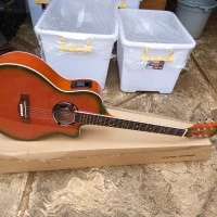 jual gitar akustik elektrik apx new s