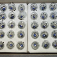 Jual Bohlam Senter Rangkaian Lampu Kecil Praktek Lab IPA 5pcs Sudah Tes