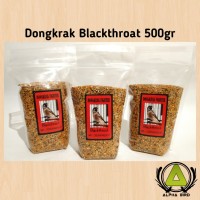 Jual Burung Blackthroat Di Kota Surabaya Harga Terbaru 2020