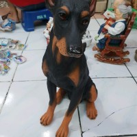 Jual Anjing Doberman Murah Harga Terbaru 2020 Tokopedia