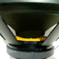 speaker perfect 15 inch