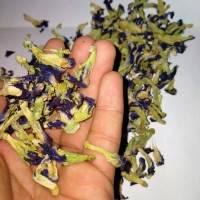 Teh Biru Bunga Telang Martani - Detoksifikasi & anti kanker