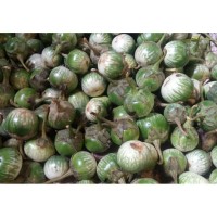 Jual Terong Lalap Hijau / sayuran / sayur terong lalap 250 ...