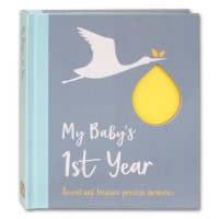 baby 1st year book