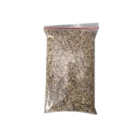 Jual SUNFLOWER SEE 1 KG BIJI BUNGA  MATAHARI  HALAL IMPORT  