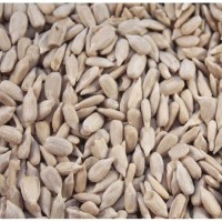 Jual SUNFLOWER SEED 500 GR BIJI BUNGA  MATAHARI  HALAL 