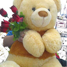 Bear House Grosir - Surabaya, Kota Surabaya  Tokopedia