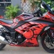 Jual Decal Kawasaki Ninja RR Mono 250cc Motif SUNMOON V1