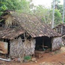 85 Gambar Rumah Gubuk Bambu Gratis Terbaik