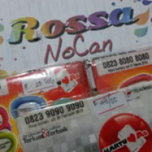 logo_rossanocan