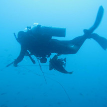 Jual Anti Fog Spray (For Mask) / Spray Anti Embun Kabut