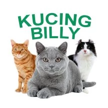 logo_kucingbilly