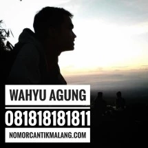 logo_nomormalang