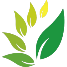 logo_polokyoindo
