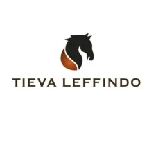 logo_tievaleffindo