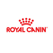 Jual Royal Canin Kitten Persian Makanan Anak Kucing Persia