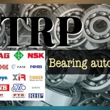 logo_bearingautomotif