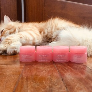 Laneige Lip Sleeping Mask 3ml Kosmetik Original Asal Korea Pelembab Tokopedia