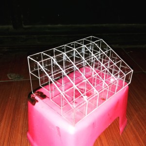 Tempat Kutek Acrylic Akrilik Isi 24 Kutek Akrilik Tempat Kosmetik Tokopedia