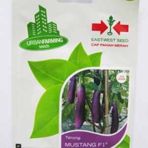 Terong Ungu Panjang Tokopedia