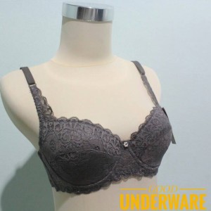 Bra Push Up Penekan Lemak Bh Busa Tebal Tally 848 Harga Dijamin Murah Tokopedia