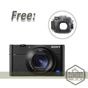 Sony Rx100 Mark V Tokopedia