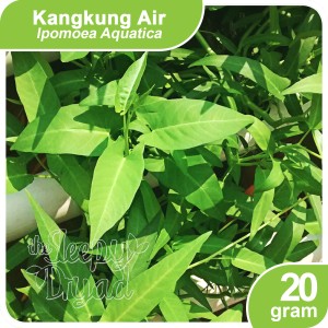 Kangkung Bangkok Harga Terjangkau Tokopedia