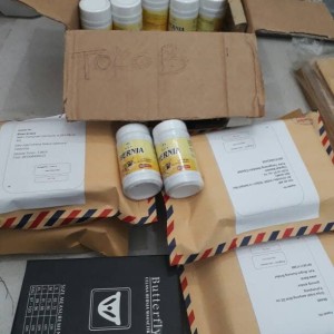 Celana Hernia Obat Tokopedia