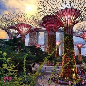 Tiket Singapore Tokopedia