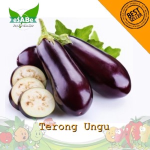 Terong Ungu Panjang Tokopedia