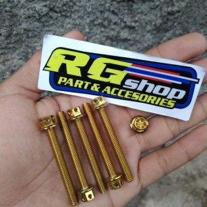 Baut Probolt Gold Flower 6x50 Drat 10 Panjang 50mm Ori Heng Thailand Harga Satuan Tokopedia