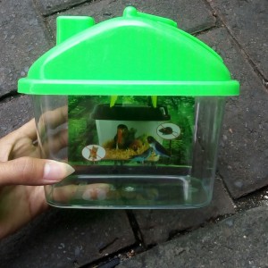 Harga Promo Pet Home Small Tokopedia