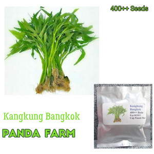 Kangkung Bangkok Harga Terjangkau Tokopedia