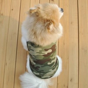 Promo Baju Kucing Tokopedia