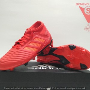 Sepatu Bola Adidas New Predator Tokopedia