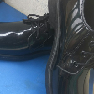 Sepatu Pdh Tni Polisi Tokopedia